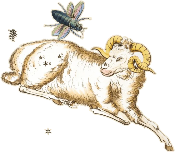 Aries, the Ram, as drawn in Urania's Mirror, 1825