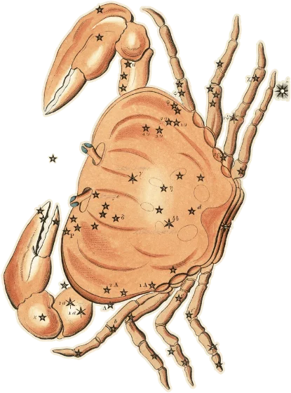 Cancer, the Crab, as drawn in Urania's Mirror, 1825