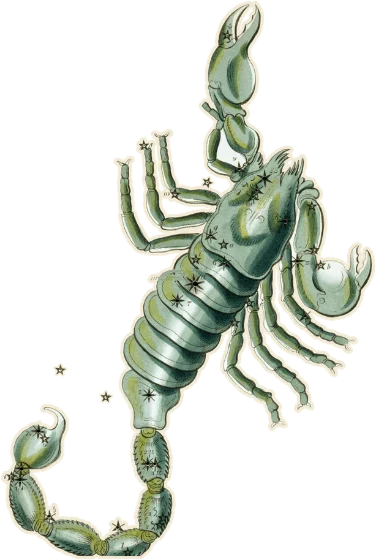 Scorpio, the Scorpion, as drawn in Urania's Mirror, 1825