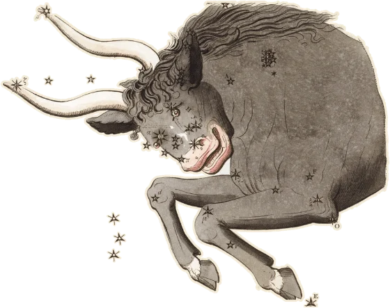 Taurus, the Bull, as drawn in Urania's Mirror, 1825